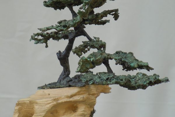 A Siena prende il via “Arte in vetrina”