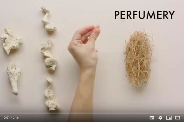 Altri due video a corredo di Firenze su Misura: Tayloring e Perfumery