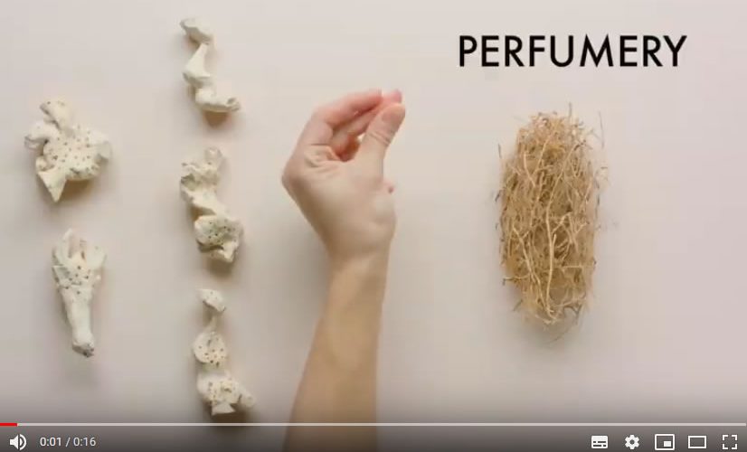 Altri due video a corredo di Firenze su Misura: Tayloring e Perfumery