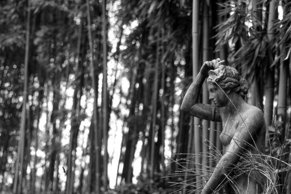 Carlo Cantini: un artista e un fotografo