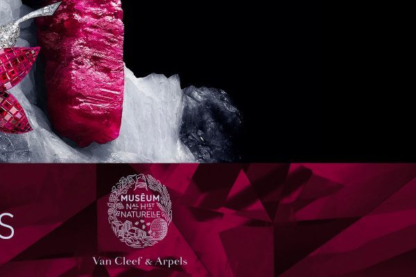 Pierres précieuses. Van Cleef & Arpels espone al Museo Nazionale di Storia Naturale di Parigi