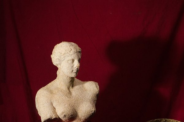 Artigiano OMA: Cosimo De Vita plasma il ‘micelio’