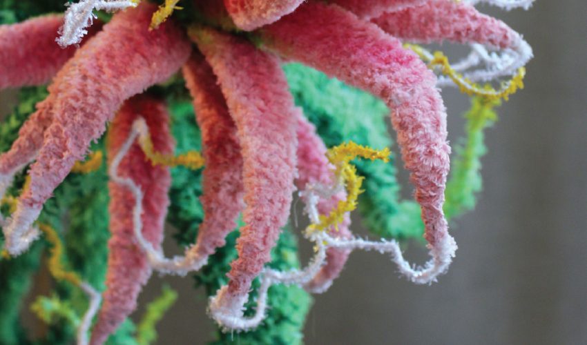 Fatti ad Arte 2023. Si è conclusa la VII edizione