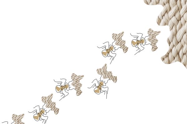 Una Riflessione sull’artigianato secondo lo studente IED Chiara Lotti