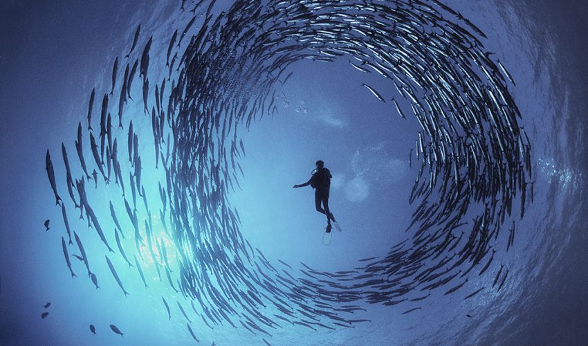 Oceani a Villa Bardini fino al 12 aprile 2026